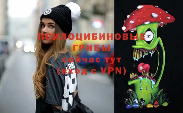 метадон Богородицк