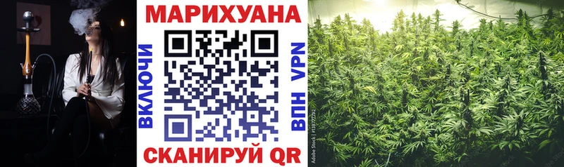 купить   Ершов  мориарти формула  Марихуана ГИДРОПОН 